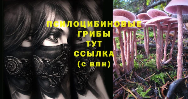 дмт Ростов
