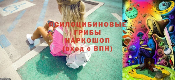 ПСИЛОЦИБИНОВЫЕ ГРИБЫ Баксан
