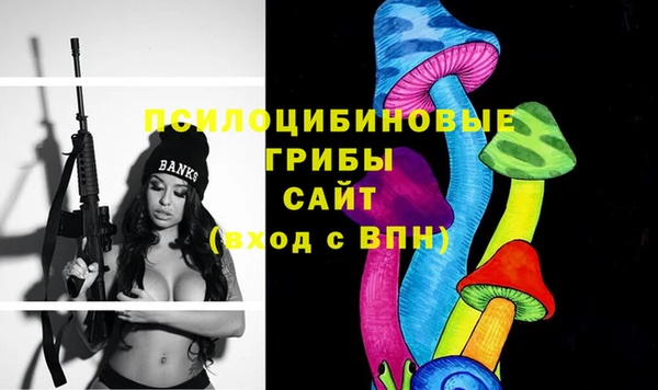 гидропоника Белоозёрский