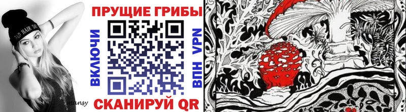 shop состав  Надым  Галлюциногенные грибы Psilocybine cubensis 